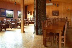 b_11549_215267901123_8063739_n